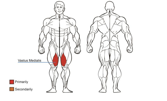 大腿內展樱桃视频污在线观看