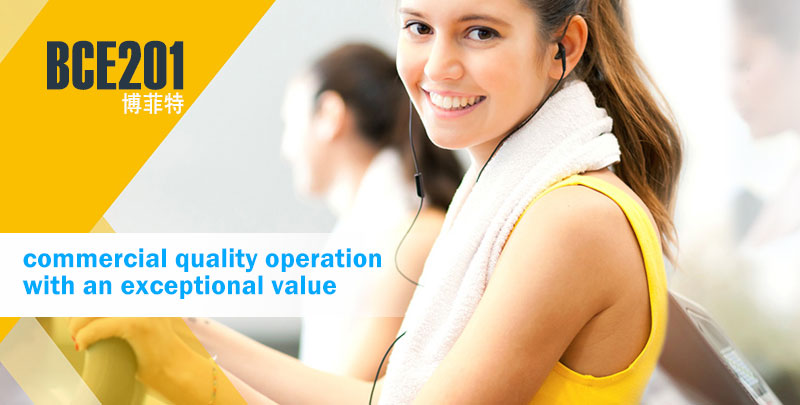 樱桃网站入口立式健身車