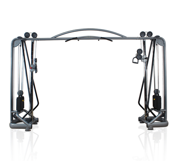 大飛鳥，龍門架健身